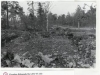 bellmans-minne-bilder-lasse-d-002