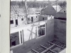 bellmans-minne-bilder-lasse-d-037